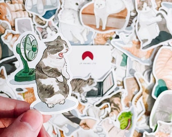 Funny Cat Meme Stickers - Waterproof Vinyl Sticker Pack