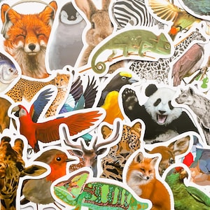 10 Animal Stickers! Waterproof Reusable VIYNL Stickers! Laptop Sticker Bottle Craft Journal Scrapbook Planner Luggage Sticker!