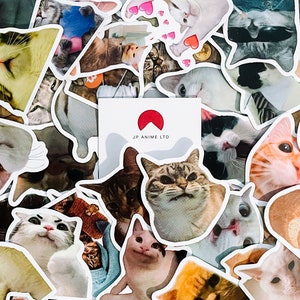 Lot de 10 bombes autocollantes drôles avec mèmes de chat au hasard ! Autocollants VIYNL imperméables et réutilisables ! Sticker pour ordinateur portable Craft Journal Scrapbook Planner !