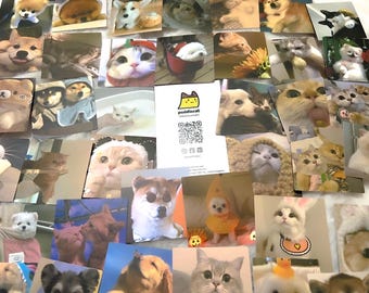 10 Random Cute Cat and Dog Stickers
