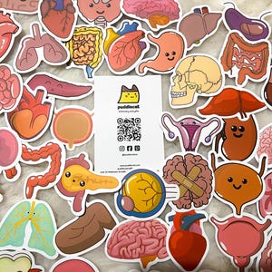 Leuke Symfonie Menselijk Lichaam Organen Bot Anatomie Sticker Set Educatieve Decals Medische Studies Anatomie Liefhebbers School Leraar