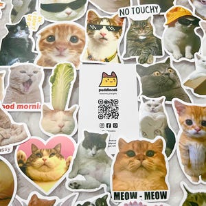 10 NOUVEAUX packs de bombes d'autocollants drôles avec mèmes de chat aléatoires ! Autocollants VIYNL imperméables et réutilisables ! Sticker pour ordinateur portable Craft Journal Scrapbook Planner !