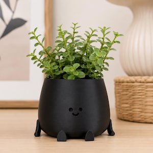 Puede incluir: Una maceta negra sonriente con pequeñas patas, que contiene una planta verde vibrante. La maceta tiene una forma redondeada y una cara sencilla y amigable. La planta tiene hojas verdes pequeñas y redondas.
