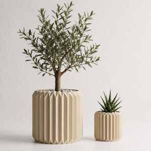 Puede incluir: Dos macetas cilíndricas con una textura acanalada vertical en un acabado crema mate. La maceta más grande contiene un pequeño olivo con hojas verdes, mientras que la maceta más pequeña contiene una planta suculenta verde con guijarros blancos.