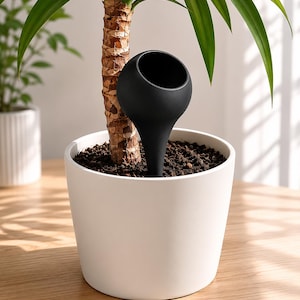 Op de afbeelding: Een zwarte plantenwaterglobe in een witte bloempot. De globe heeft een ronde bovenkant en een lange steel, die in de grond is gestoken. De plant heeft groene bladeren en een bruine stam. De pot staat op een houten oppervlak.