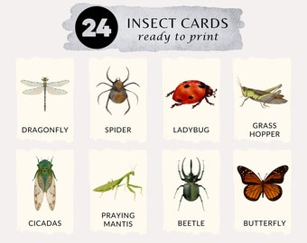 insects flash cards | printable educational cards | DIGITAL DOWNLOAD