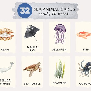 flashcards animaux marins | cartes éducatives imprimables, cartes Montessori, cartes préscolaires, matériel Montessori | TÉLÉCHARGEMENT NUMÉRIQUE
