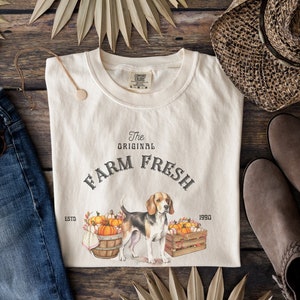 May include: A white t-shirt with the text "The Original Farm Fresh" and the years "ESTD 1990" printed on it. A beagle dog with brown and white fur is standing in front of a crate of pumpkins.