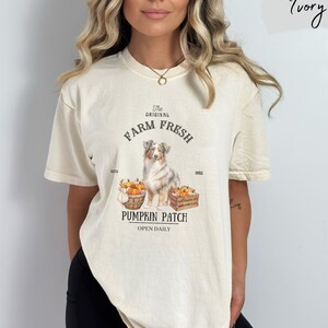 Pumpkin patch Australian shepherd shirt, Pumpkin Patch shirt, Australian shepherd tshirt, Australian shepherd gifts, Australian Shepherd
