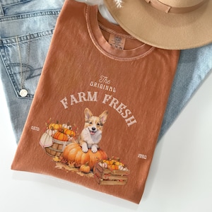 Pumpkin patch corgi shirt, Pumpkin Patch shirt, Corgi tshirt, Corgi gifts, corgi, welsh corgi, corgi gift, corgi shirt, corgi fall tee