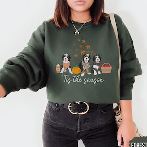 May include: A forest green sweatshirt with a graphic of three dogs wearing fall-themed accessories. The dogs are standing in front of a pumpkin and a basket of apples. The text "Tis the season" is printed below the dogs.