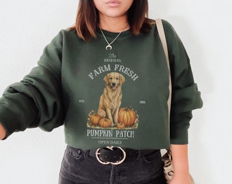 Pumpkin patch Golden retriever sweatshirt, Pumpkin Patch sweatshirt,Golden retriever, Golden Retriever gifts,Golden Retriever, fall crewneck