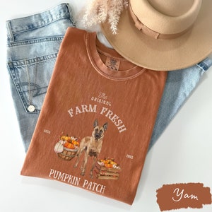 May include: A brown t-shirt with a distressed vintage look featuring a German Shepherd dog standing in front of a pumpkin patch. The text on the shirt reads "The Original Farm Fresh Est. 1980 Pumpkin Patch".