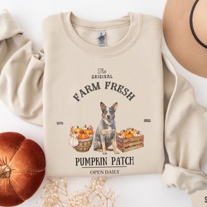 May include: Sand-colored sweatshirt with a graphic featuring a dog, pumpkins, and text that reads "The Original Farm Fresh Pumpkin Patch Open Daily." The design includes a dog, pumpkins in a basket and crate, and the year 1990.