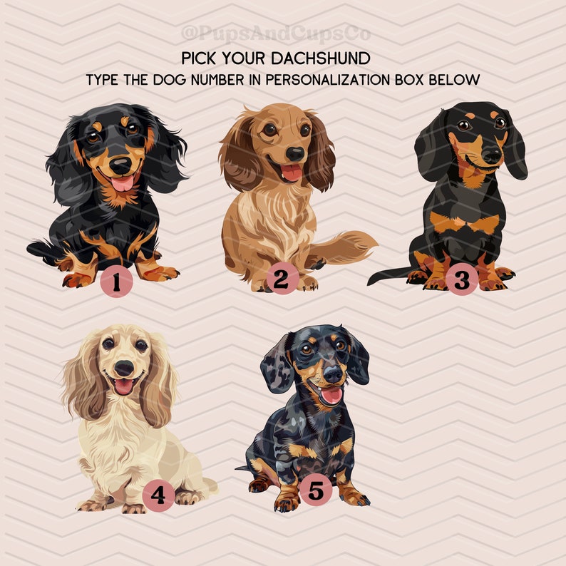 a picture of a dog with four different breeds