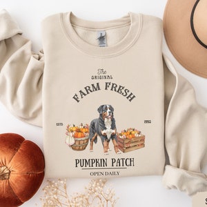 May include: A beige sweatshirt with a graphic design featuring a Bernese Mountain Dog standing in front of a crate of pumpkins. The text reads "The Original Farm Fresh Est'd 1990 Pumpkin Patch Open Daily".
