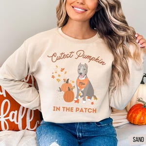 May include: Sand-colored sweatshirt with the text "Cutest Pumpkin IN THE PATCH" and a graphic of a gray dog wearing an orange bandana. The design includes orange pumpkins and autumn leaves.