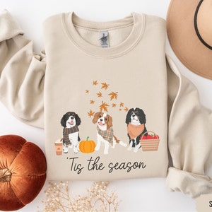 May include: A beige sweatshirt with a graphic of three Cavalier King Charles Spaniels wearing fall-themed accessories. The text "Tis the season" is printed below the dogs.