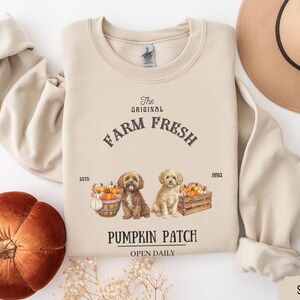 May include: A beige sweatshirt with the text "The Original Farm Fresh Est. 1990 Pumpkin Patch Open Daily" and a graphic of two dogs with pumpkins in a basket.