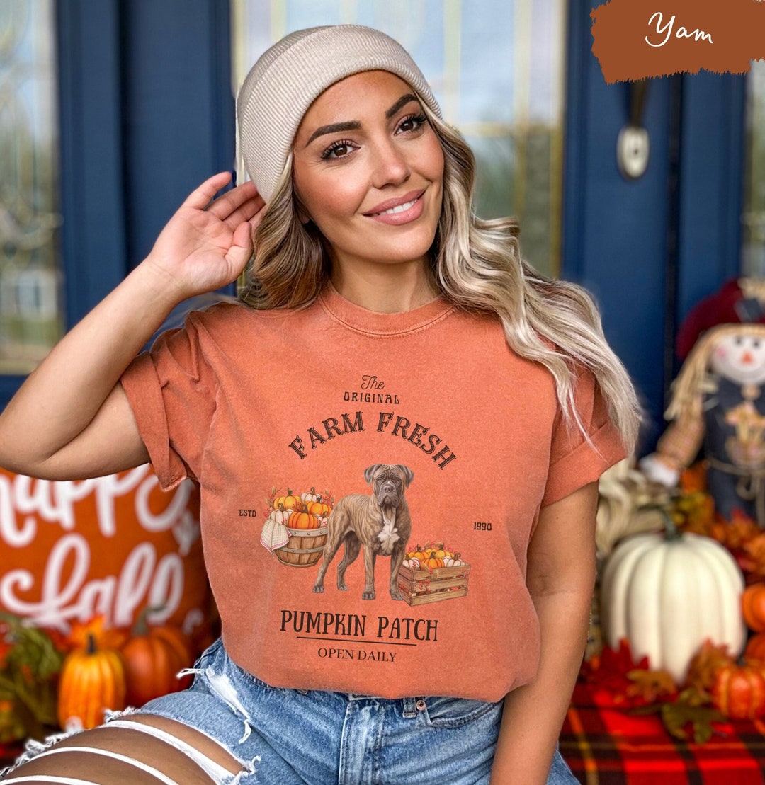 Mastiff Pumpkin Patch Comfort Color T Shirt English Mastiff Mastiff Mastiff Shirt Mastiff mastiff-pumpkin-patch-comfort-color-t-shirt-english-mastiff-mastiff-mastiff-shirt-mastiff