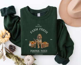 Könnte beinhalten: Grünes Sweatshirt mit einem Aufdruck eines Bloodhound-Hundes, der vor einer Kiste mit Kürbissen steht. Der Text lautet "The Original Farm Fresh Est. 1990 Pumpkin Patch Open Daily".