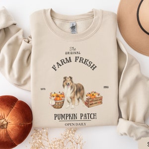 May include: A beige sweatshirt with a graphic design featuring a Collie dog standing in front of a basket of pumpkins. The text reads "The Original Farm Fresh Est. 1990 Pumpkin Patch Open Daily".