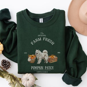May include: Dark green sweatshirt with the text "The Original Farm Fresh Pumpkin Patch" and a graphic of a white dog and pumpkins. The sweatshirt has a crew neck and long sleeves.