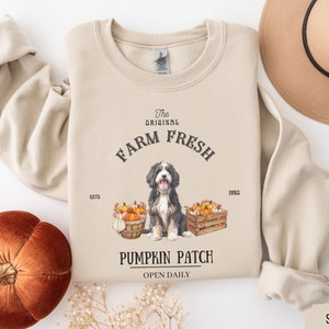 May include: A beige sweatshirt with the text "The Original Farm Fresh Est'd 1930 Pumpkin Patch Open Daily" and a black and white dog with pumpkins in a basket.