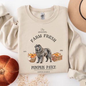 May include: A beige sweatshirt with a graphic design of a black Newfoundland dog standing in front of a pumpkin patch. The text "The Original Farm Fresh" is above the dog and "Pumpkin Patch Open Daily" is below the dog. The text "Est. 1990" is on the right side of the design.