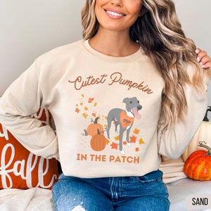 May include: Sand-colored sweatshirt with the text "Cutest Pumpkin IN THE PATCH" and a graphic of a gray dog wearing an orange bandana. The design includes pumpkins and fall leaves. The word "Mile" is on the bandana.