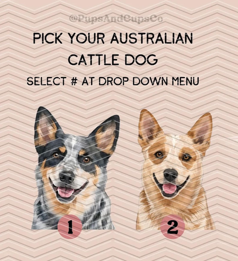 two adorable Australian Cattle Dogs, one black and white and the other tan and white, with the text "Pick your Australian Cattle Dog" and "Select #1 at Drop Down Menu" displayed above them.