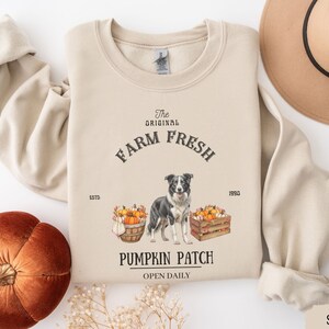 May include: A beige sweatshirt with a black and white border collie dog illustration. The text on the sweatshirt reads "The Original Farm Fresh Est'd 1990 Pumpkin Patch Open Daily".