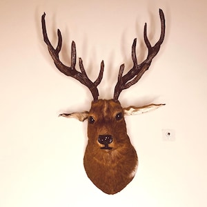 Palace looks Fur Leather Deer Head Wall Decor, Deer Mount for Cabin Lodge or Rustic Room Wall Decor Wall Hanging for Home, Hotel reception