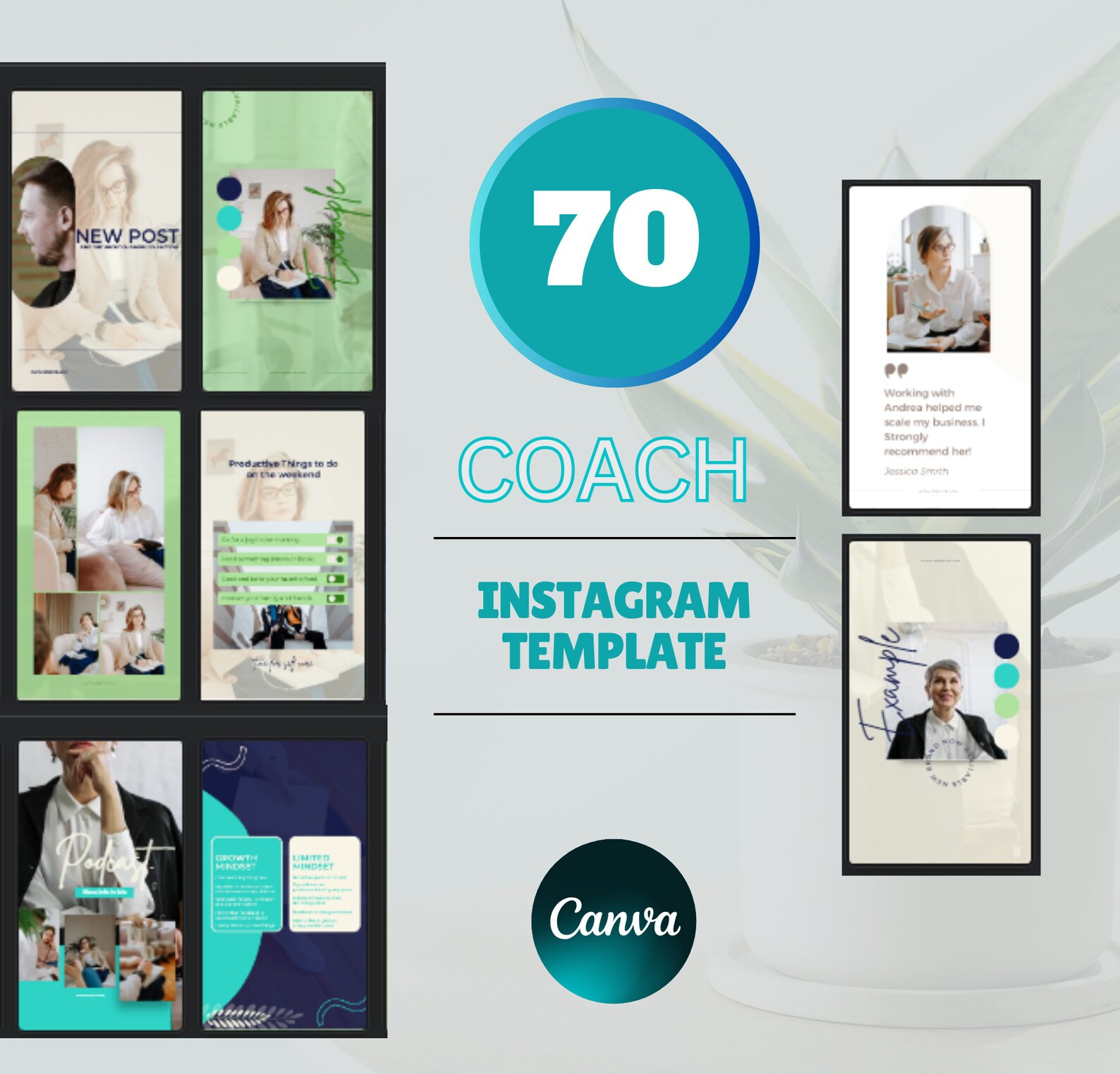 70 Instagram Template Coach | Coaching Plan Template | Business Coach ...