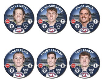 2025 GEELONG CATS PLAYERS Pin Badges