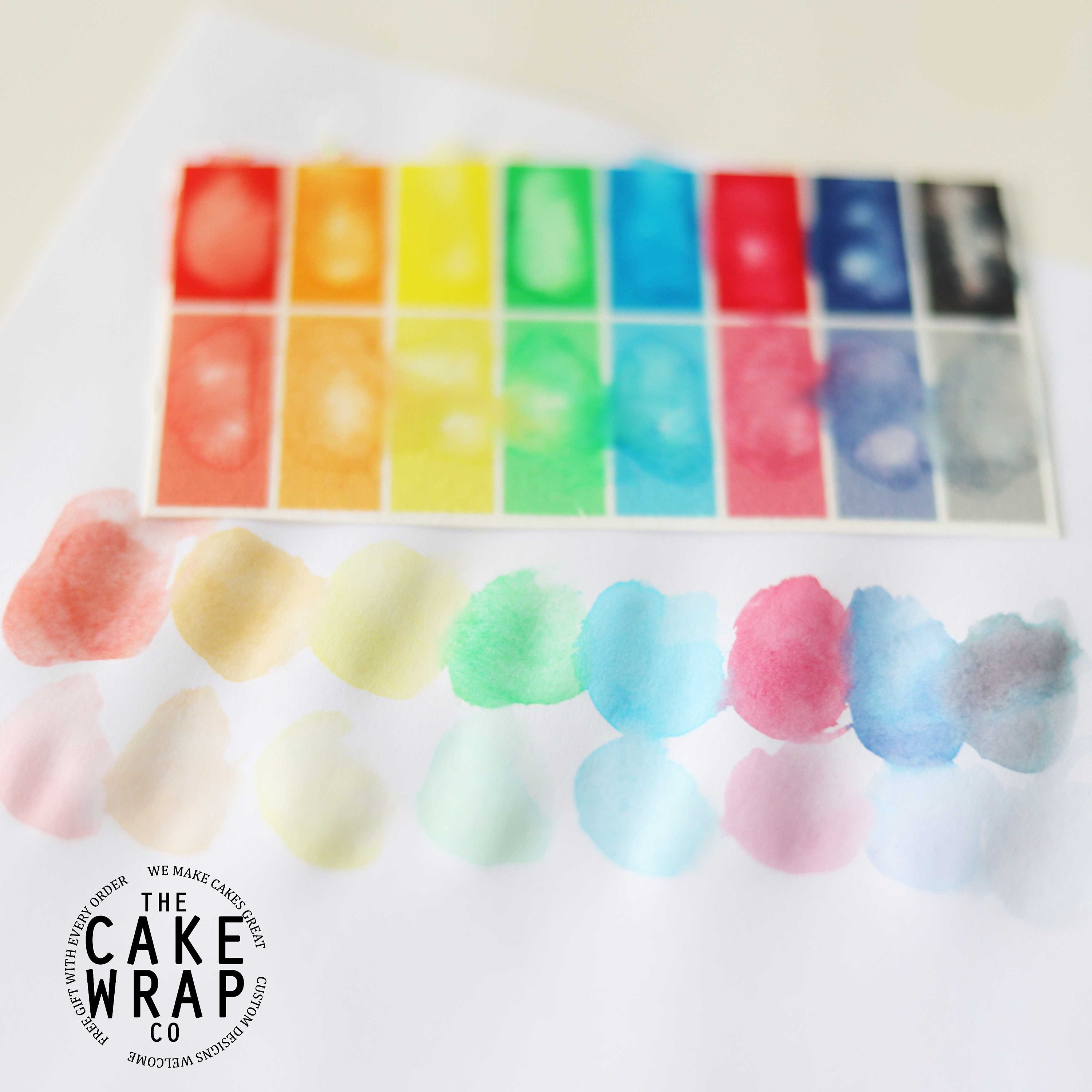 PYO COOKIE Paint Your Own Cookie Edible Paint Palette Paint Etsy