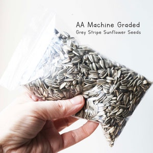 SEEDS FOR BEES, Bee Seed Packets, Custom Seed Packets, Thank You Favor, Bee Seeds, Teacher Gift, Unique Favor, Save the Bees, Sunflowers