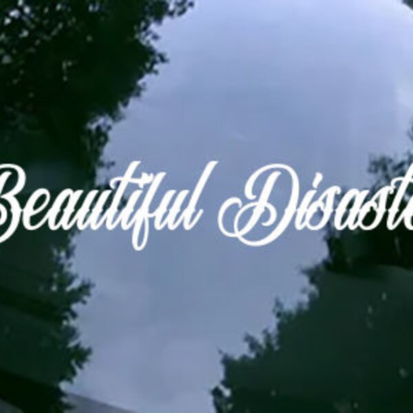 Beautiful Disaster Vinyl Decal Sticker Car Truck SUV Window Bumper