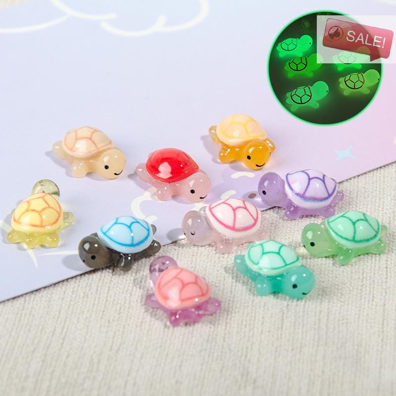 Mini Turtle Face Miniature Turtles - Etsy
