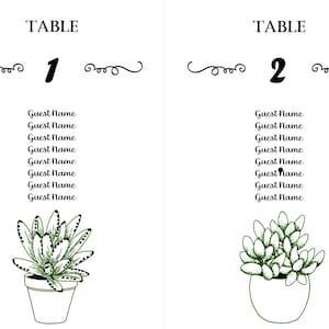 Succulent Wedding Seating Chart