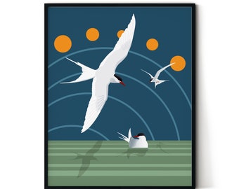 Arctic Terns (fine art print)