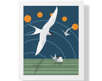 Arctic Terns (Framed Fine Art Print)