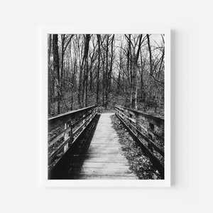 Black and White Bridge, Forest, Trees, Black and White Forest Photography, Perrot State Park, Wall Print