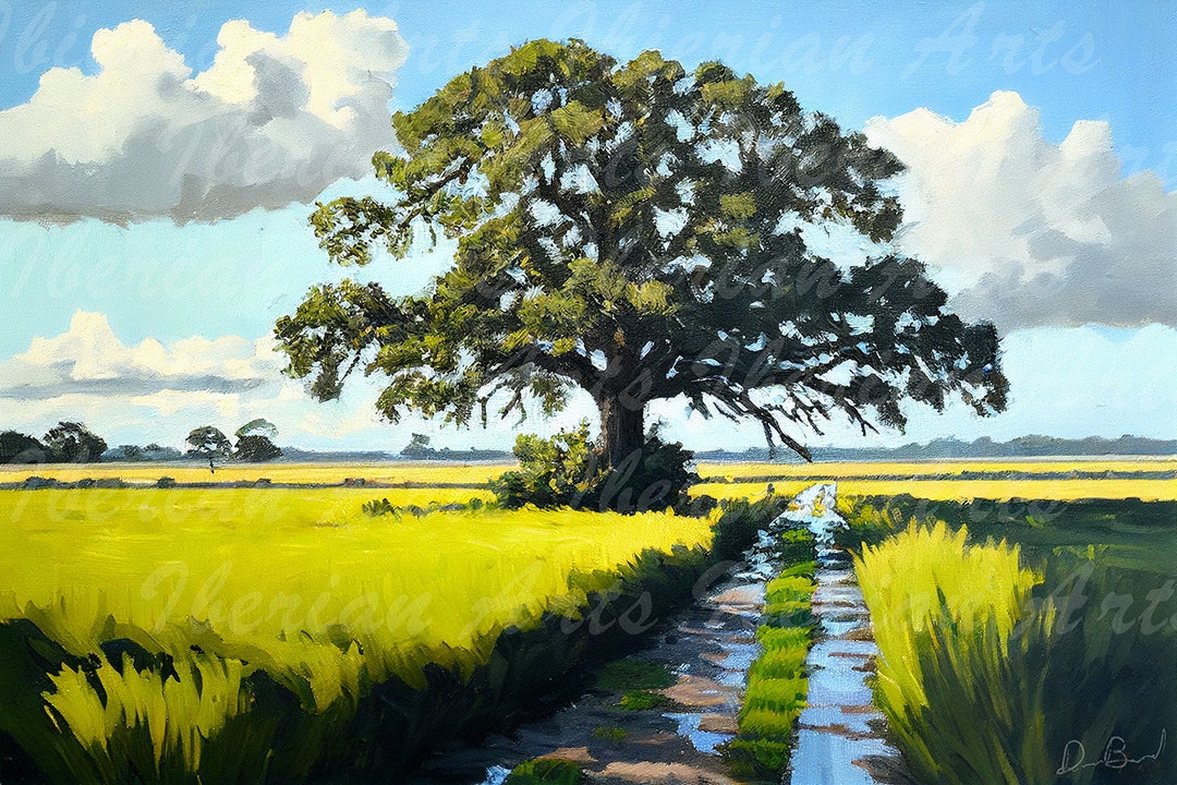 Youngsville Pasture, Louisiana Painting, Field, Country, Impressionism