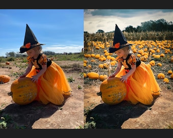 May include: A young child dressed as a witch in a black hat and orange tulle dress holds a large orange pumpkin in a field of pumpkins.