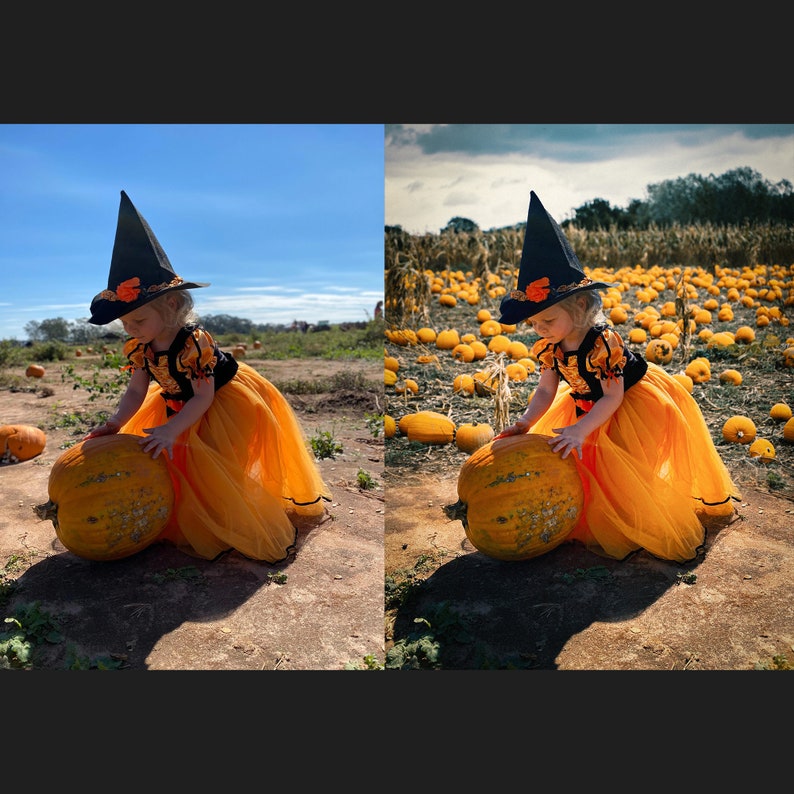 Op de afbeelding: Een jong kind verkleed als heks met een zwarte hoed en een oranje tulejurk houdt een grote oranje pompoen vast in een veld met pompoenen.