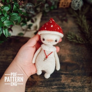 Amigurumi mushroom Boy Pattern Crochet Fly agaric pattern