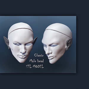 3D STL ein Männerkopf Doll Elfe BJD