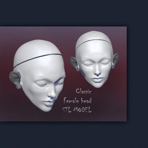 3d druck dateien bjd puppenkopf bjd 3d 3d datei bjd puppen bjd kopf stl fairy puppe prinzessin anatomisch korrekte 3d gedruckt spielzeug modelle