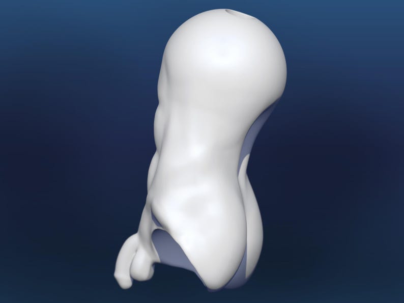 Pode incluir: Uma escultura abstrata branca com um topo arredondado e uma forma org&acirc;nica curva. A escultura tem uma superf&iacute;cie lisa e est&aacute; sobre um fundo azul escuro. O design inclui uma forma bulbosa e uma protuber&acirc;ncia menor e arredondada.